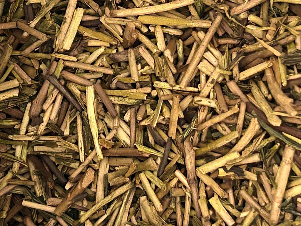 残暑にやさしい、お茶のある暮らし