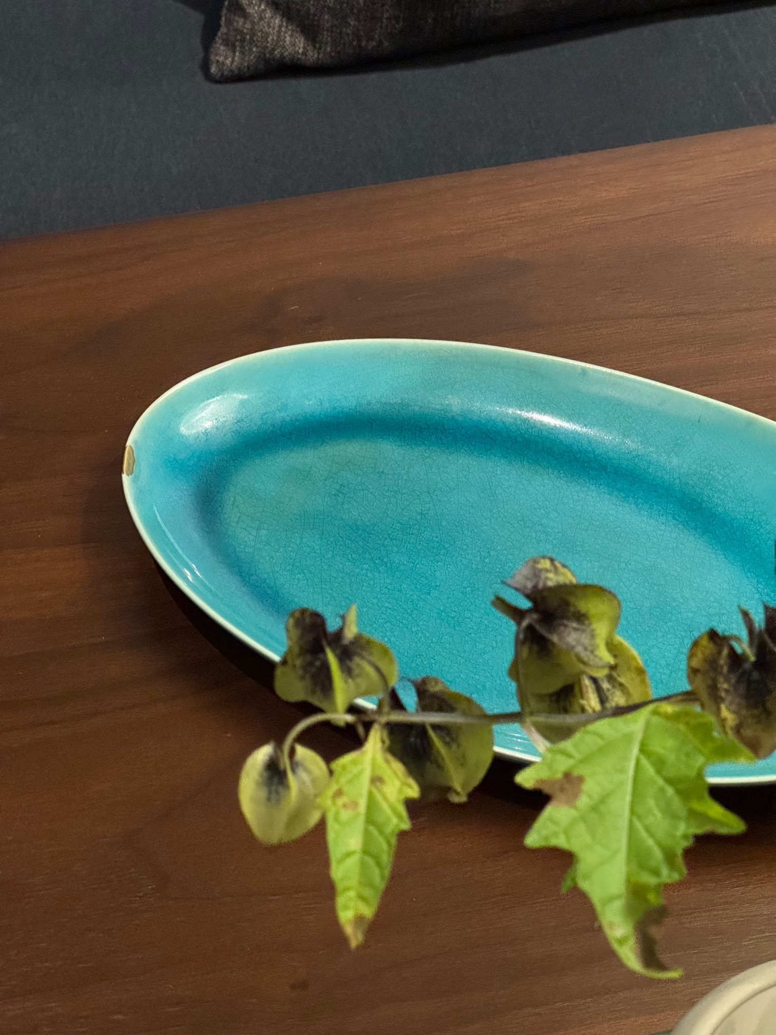 現代金継ぎ ワークショップ