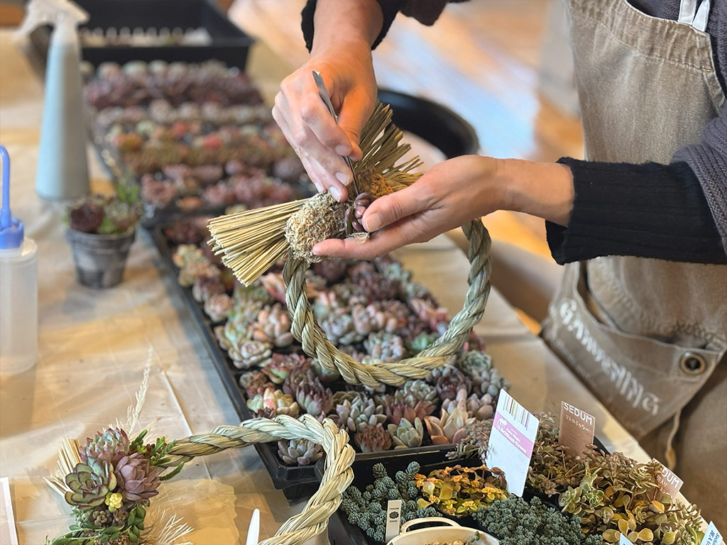 本店「多肉しめ縄リース」ワークショップレポート