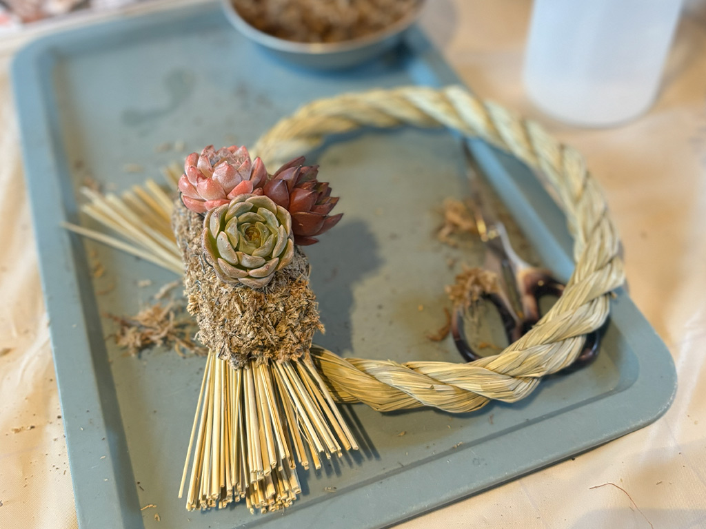 本店「多肉しめ縄リース」ワークショップレポート