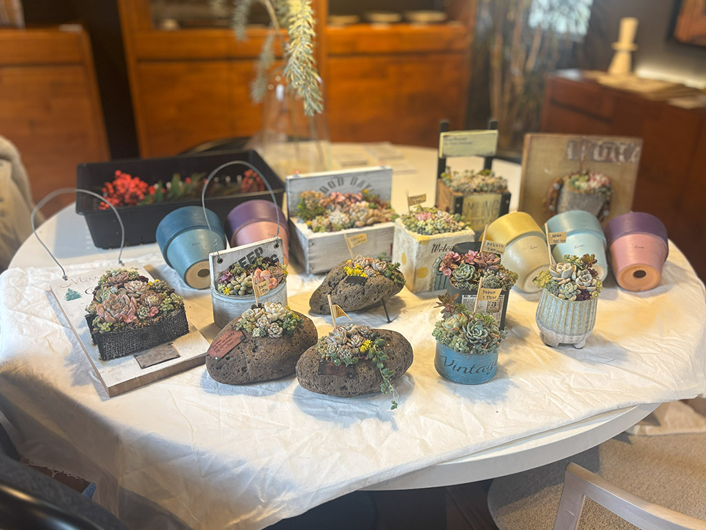 本店「多肉しめ縄リース」ワークショップレポート