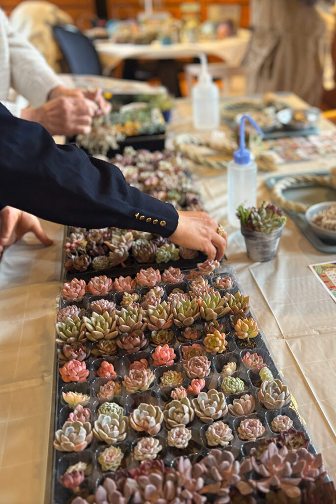 本店「多肉しめ縄リース」ワークショップレポート