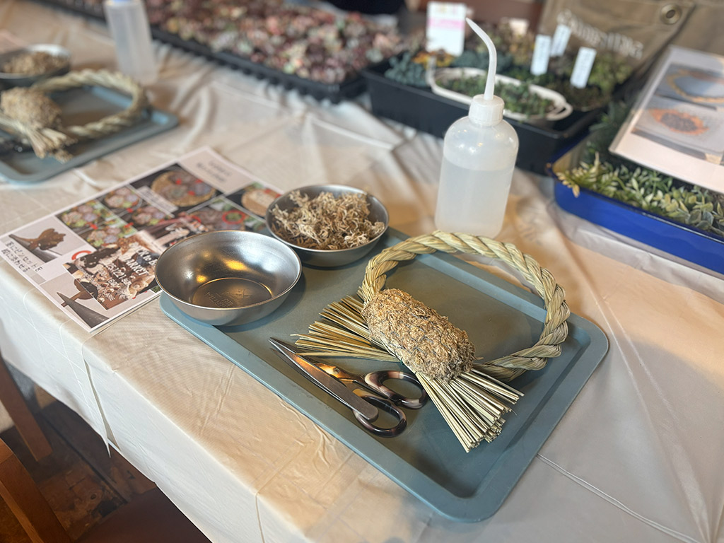 本店「多肉しめ縄リース」ワークショップレポート