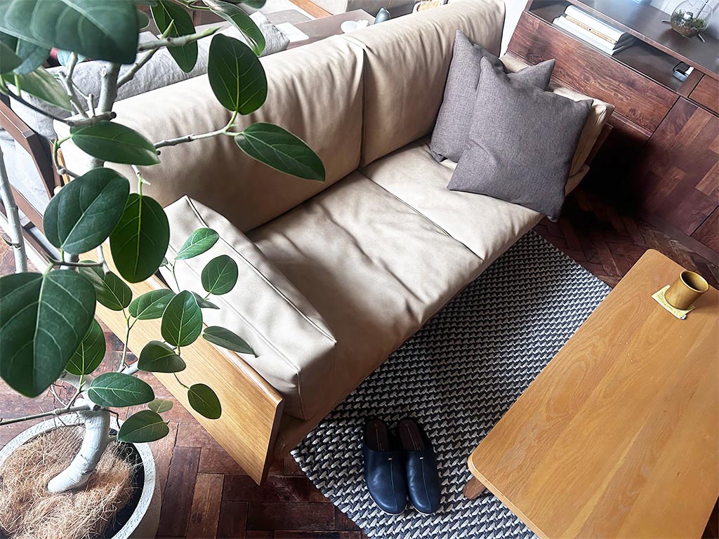 SALAソファとベンガレンシス