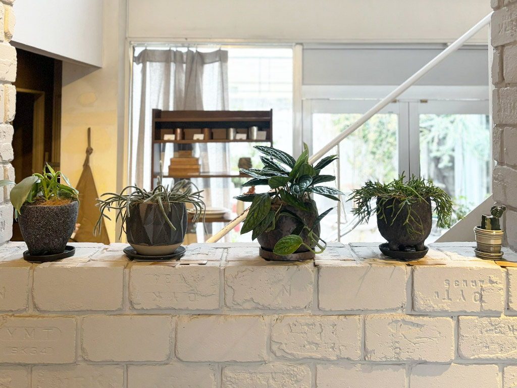 みどりのある暮らし②