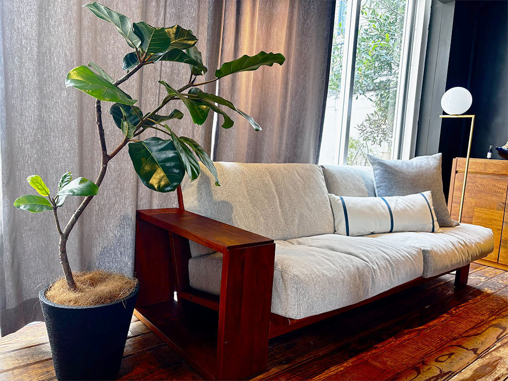 PUROソファとアフリカンプリンス