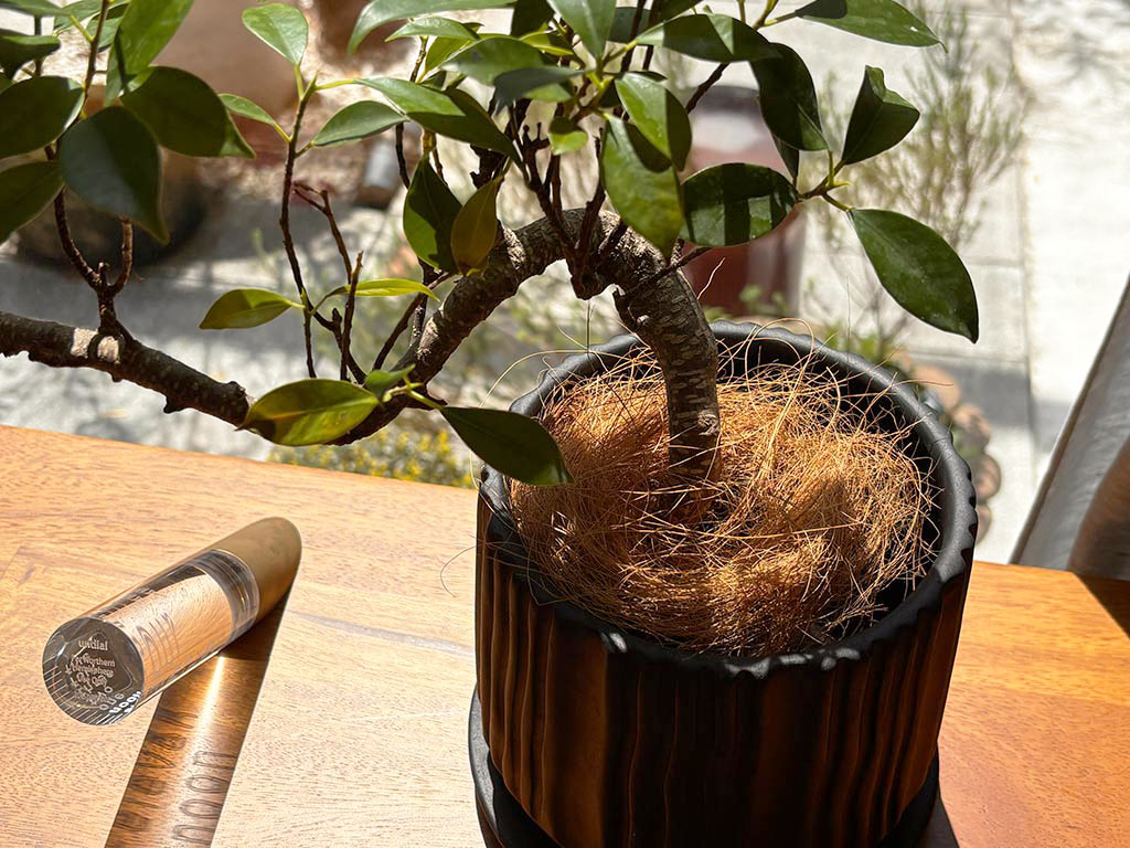 ココヤシファイバー