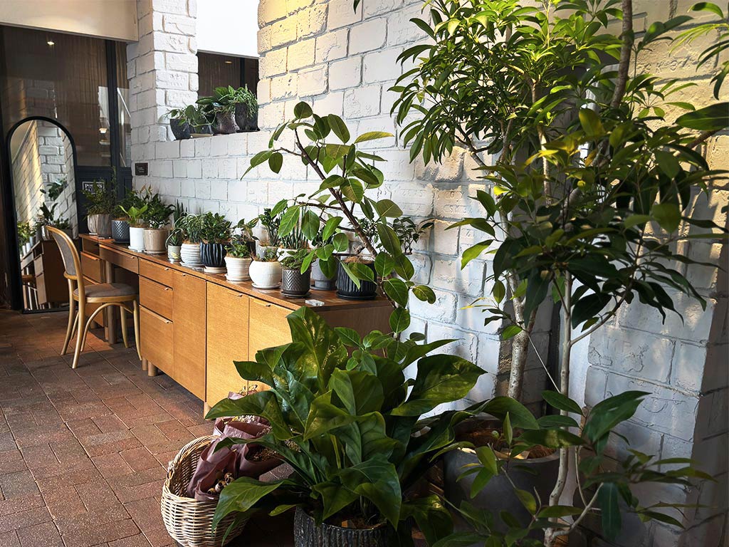 みどりのある暮らし