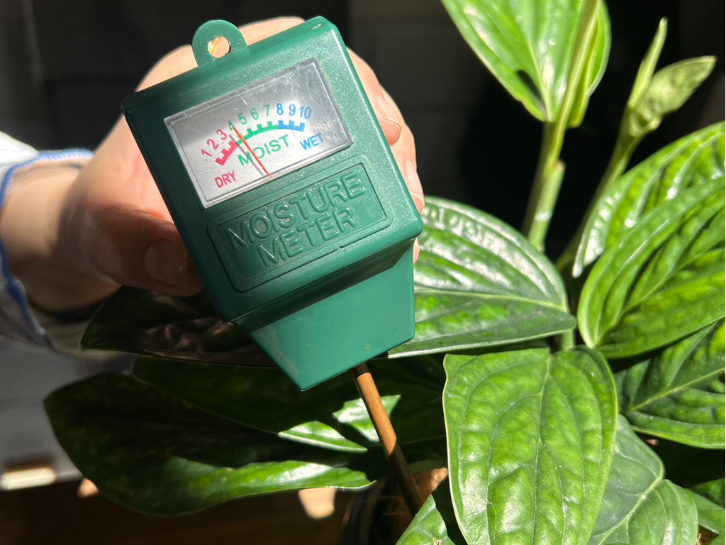 水やりチェッカー